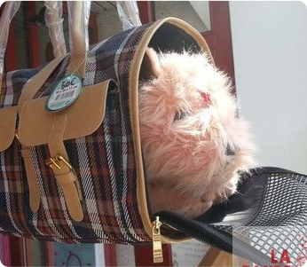 sac de transport pour chien